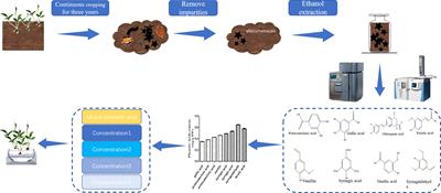 Dynamic analysis of physiological indices and transcriptome profiling revealing the mechanisms of the allelopathic effects of phenolic acids on Pinellia ternata